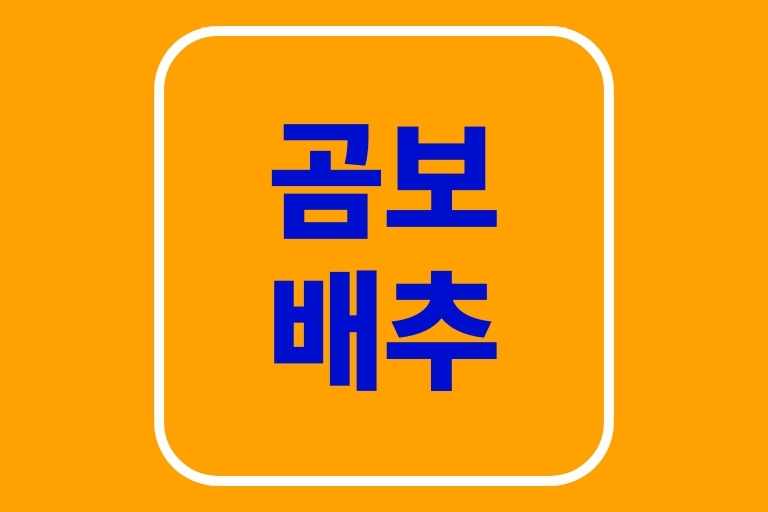 곰보배추 효능 먹는법