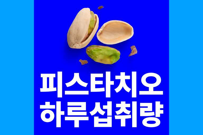 피스타치오 하루 섭취량