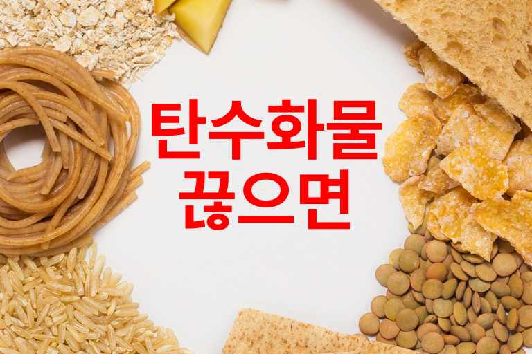 탄수화물 끊으면