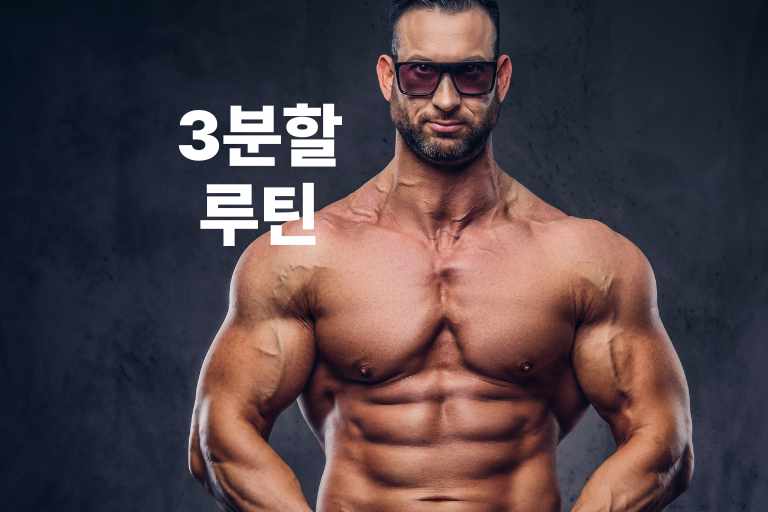 효율적인 운동의 비결 3분할 루틴의 모든 것